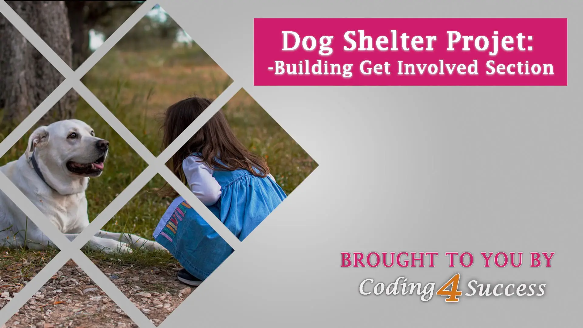 dog-shelter-project-get-involved